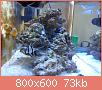         

:  DSC00507.jpg
:  693
:  73,0 KB