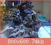         

:  DSC00509.jpg
:  604
:  74,3 KB