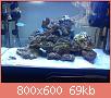         

:  DSC00519.jpg
:  588
:  68,9 KB