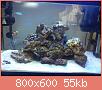         

:  DSC00515.jpg
:  589
:  54,8 KB