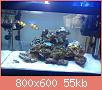         

:  DSC00516.jpg
:  641
:  54,7 KB