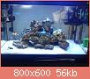         

:  DSC00517.jpg
:  615
:  55,6 KB