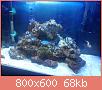         

:  DSC00540.jpg
:  577
:  68,3 KB