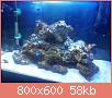         

:  DSC00541.jpg
:  584
:  58,3 KB