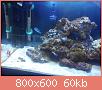         

:  DSC00543.jpg
:  552
:  59,8 KB