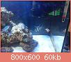         

:  DSC00544.jpg
:  532
:  60,1 KB