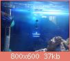         

:  DSC00545.jpg
:  532
:  36,8 KB