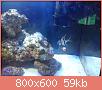         

:  DSC00546.jpg
:  542
:  59,0 KB