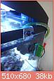         

:  DSC00563.jpg
:  714
:  37,6 KB