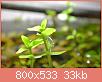        

:  DSC_0018gab.jpg
:  392
:  33,2 KB
