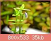         

:  DSC_0015gab.jpg
:  438
:  34,8 KB