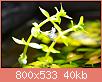         

:  DSC_0367.jpg
:  323
:  39,9 KB