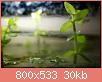         

:  DSC_002900022.jpg
:  276
:  29,7 KB