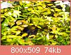         

:  DSC_000500.jpg
:  331
:  73,8 KB