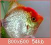         

:  16062012668.jpg
:  1709
:  53,8 KB