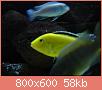        

:  1 004 ().jpg
:  502
:  58,1 KB