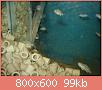         

:  1 005 ().jpg
:  575
:  98,7 KB