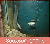         

:  1 006 ().jpg
:  538
:  99,7 KB
