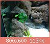         

:  1 010 ().jpg
:  594
:  113,3 KB