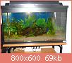         

:  DSC08128.jpg
:  391
:  68,8 KB