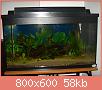         

:  DSC08130.jpg
:  332
:  58,0 KB