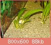         

:  DSC08133.jpg
:  333
:  88,5 KB