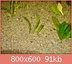         

:  DSC08134.jpg
:  309
:  91,2 KB