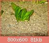         

:  DSC08136.jpg
:  304
:  81,4 KB