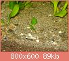         

:  DSC08137.jpg
:  337
:  89,2 KB
