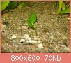         

:  DSC08138.jpg
:  310
:  69,5 KB