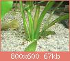         

:  DSC08139.jpg
:  340
:  67,3 KB