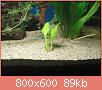         

:  DSC08140.jpg
:  283
:  89,1 KB