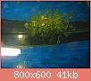         

:  DSC08151.jpg
:  341
:  40,6 KB