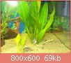         

:  DSC08147.jpg
:  281
:  68,5 KB