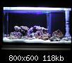         

:  Nano reef 03.jpg
:  729
:  117,8 KB