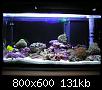         

:  Nano reef 04.jpg
:  786
:  130,8 KB