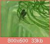         

:  DSC_0320.jpg
:  567
:  33,3 KB