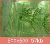         

:  DSC_0317.jpg
:  528
:  56,8 KB
