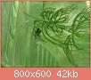         

:  DSC_0318.jpg
:  649
:  42,4 KB