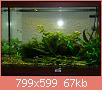         

:  aquarium2.jpg
:  912
:  66,5 KB