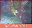         

:  23092012433.jpg
:  324
:  49,4 KB