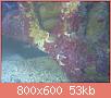         

:  23092012434.jpg
:  323
:  53,4 KB