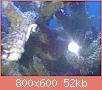         

:  23092012435.jpg
:  341
:  51,7 KB