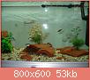         

:  DSC00014.jpg
:  2920
:  53,1 KB