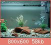         

:  DSC00015.jpg
:  4143
:  58,5 KB