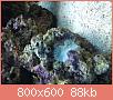         

:  DSC00063.jpg
:  722
:  87,5 KB