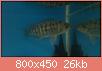         

:  22112012137.jpg
:  750
:  26,4 KB