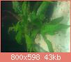         

:  IMG_0088.jpg
:  245
:  43,5 KB