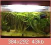         

:  xalia.jpg
:  575
:  43,4 KB