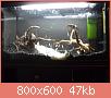         

:  DSC00108.jpg
:  411
:  47,3 KB